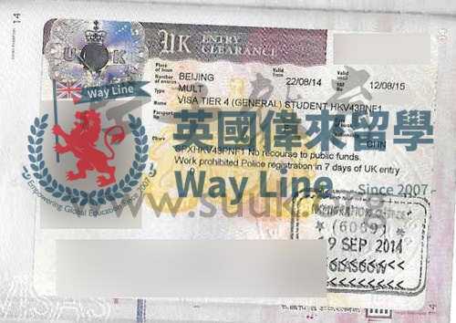 英國學生簽證(Tier 4)申請成功案例