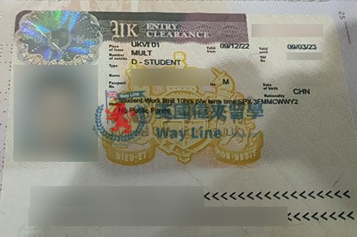 英國學生簽證（Tier 4）申請成功案例
